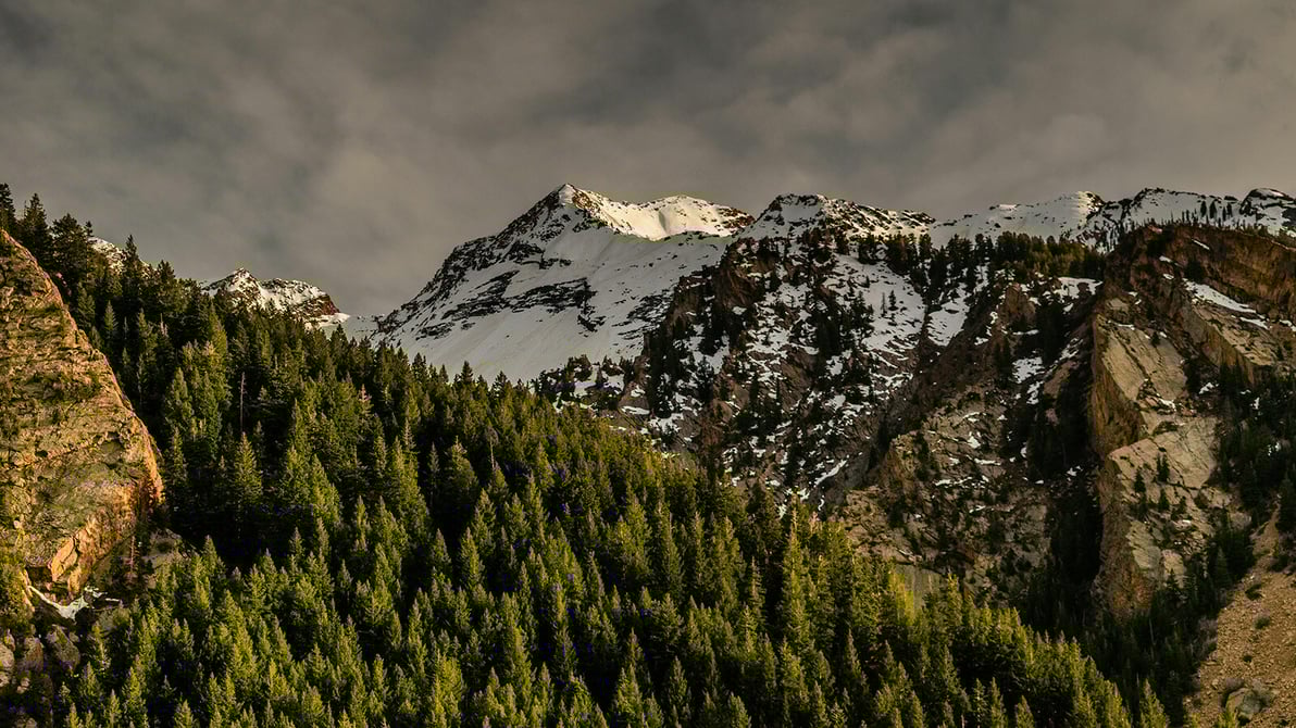 cottonwood_main_1600x900