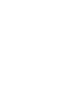 SOC2 T2 - white