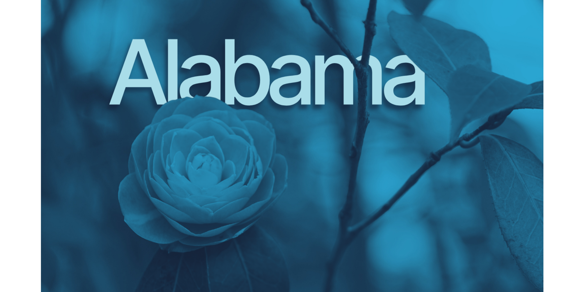 blog-featured-image