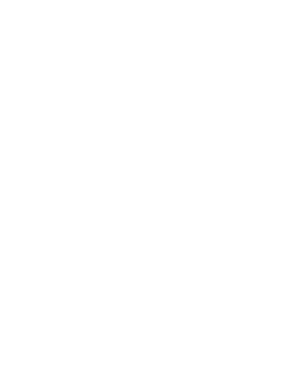 SOC2 T2 - white